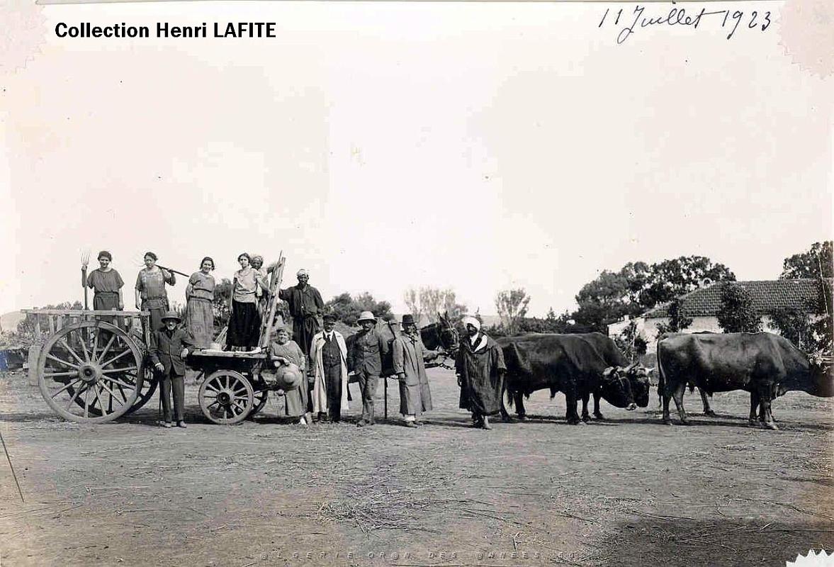 Oran- SDV- 2070- Lafite.jpg